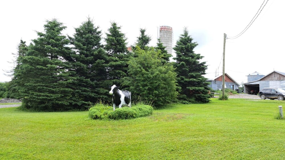 Une statue de vache à lait devant des arbres et une ferme