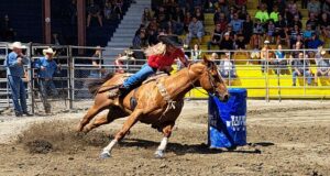 Femme sur un cheval tournant autour d'un baril bleu lors d'une compétition de rodéo