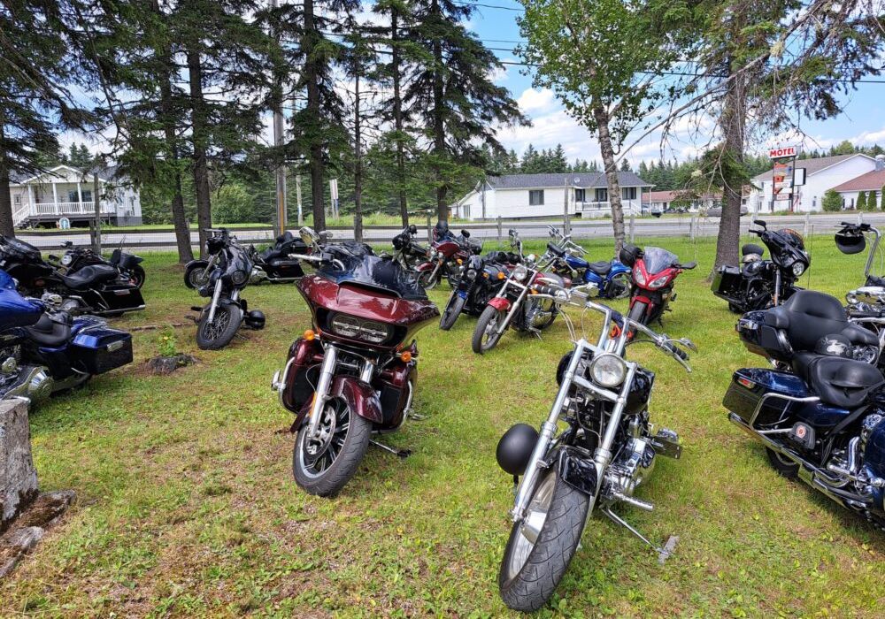 Plusieurs variétés de motos stationnées sur le gazon lors d'une journée ensoleillée