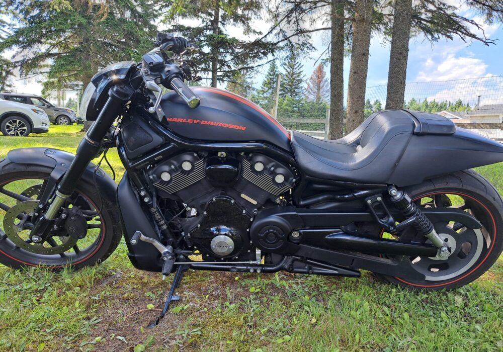 Moto de marque Harley Davidson complètement noire sur du gazon devant des arbres et un ciel bleu