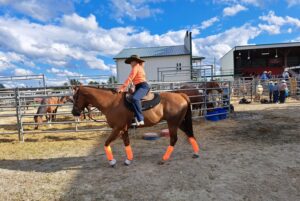Une femme avec un chapeau se promène en cheval. Elle porte une chemise orange de la même couleur que le tissu sur les pattes de son cheval.
