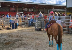 Petit fille au casque rose sur un cheval sur place pendant une compétition de rodéo