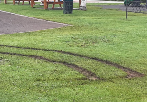 Pelouse endommagée par des traces de VTT