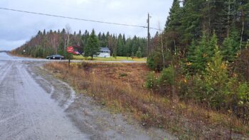 Panneau d'arrêt dégagé par un débrouissaillement lors d'une journée pluvieuse.