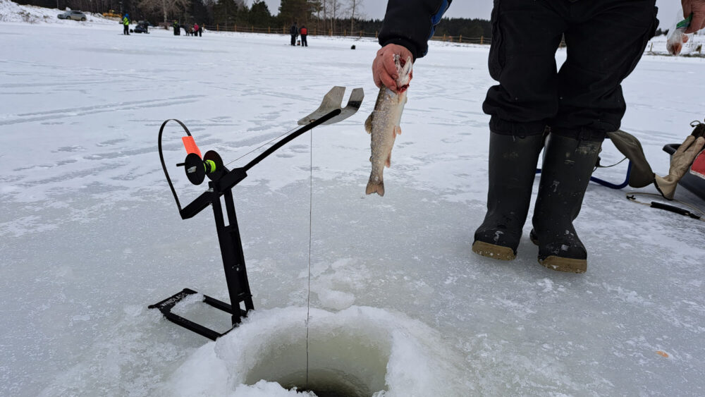 Main tenant une truite sur un lac gelé devant un trou de pêche sur glace.