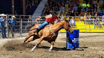 Cow-girl sur son cheval lors d'une course aux barils.