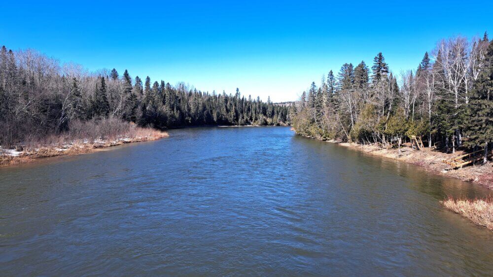 Vue d'une rivière lors d'une journée complètement ensoleillée, au mois d'avril. Des conifères contournent la rivière et le courant de l'eau est quelque peu agité.